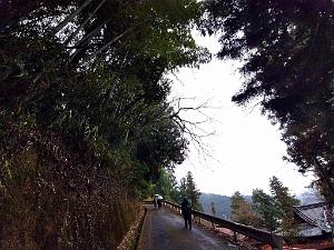 Nagoya  - Excursion  a Shirakawa via Takayama - 012